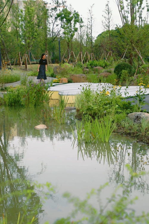 奉賢 和合社區公園 開放,占地約18000㎡