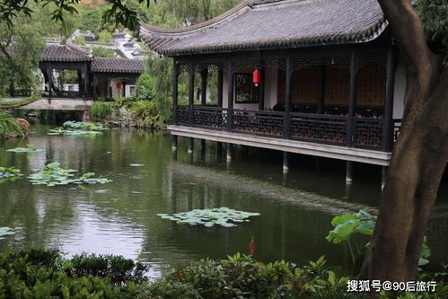 耗時5年修建的園林,坐落于廣東中山市,一景一物盡顯江南風情