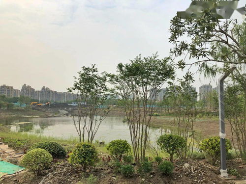 區(qū)動態(tài)