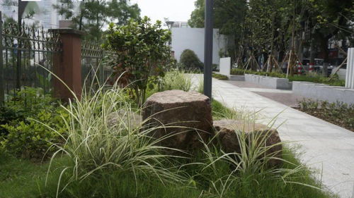 開展 口袋公園 建設,勾畫精致美城美景