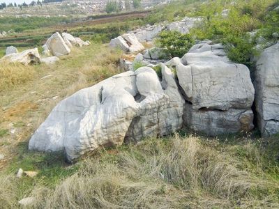 長壽石假山_[園林工程]假山工程量大從優(yōu)