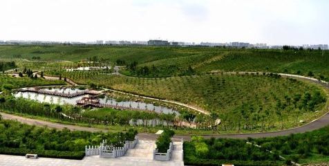 改革開放40周年|綠化美化看變化 青城處處皆風景