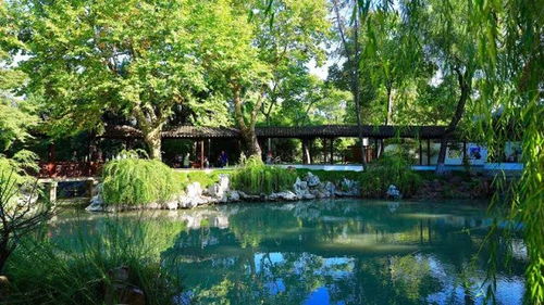 太倉生態(tài)園林城市建設中 一大波養(yǎng)眼靚照襲來