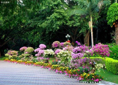 園林建設,花卉批發(fā)零售