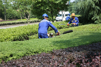 武義:我縣國家園林縣城創(chuàng)建如火如荼