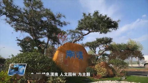 一把手 談創(chuàng)建 渭南市園林綠化處 加大城市綠化 改善基礎設施 提升市民幸福指數(shù)