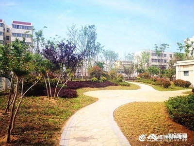 “推窗現(xiàn)景、開門見綠”日照?qǐng)@林集團(tuán)實(shí)施拆遷建綠、拆墻透綠、破硬造綠等工程!
