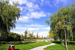 石家莊要新建6座公園,中山路要建園林精品步行街,民心河有大動(dòng)作,還有 厲害了我的國(guó)際莊