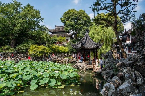 蘇州唯一一座為和尚而建的園林,就在拙政園旁邊,常年游客如云