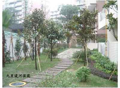 房地產園林施工|房地產園林施工公司