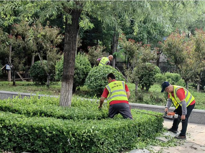 煙臺市園林建設養護中心:加強夏季養護 鞏固景觀效果