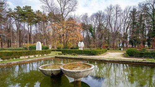 阜陽市潁州公園如何在秋季展現城市中的自然美