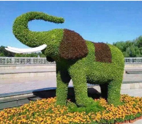 精美仿真綠雕制作一個擺放公園增添特色 四川成都主題綠雕廠家制作