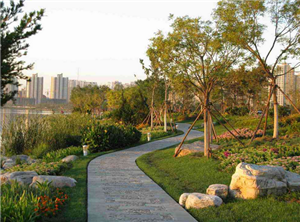 河南永明市政園林建設