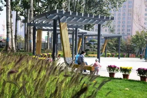 舍了房產建公園,平度這些地方又要大變樣