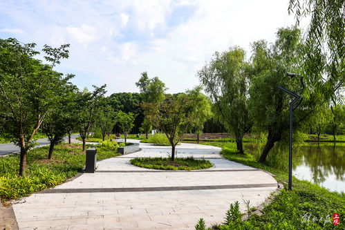 綏德公園改造工程啟動建設,上海年底將建成7座環城公園