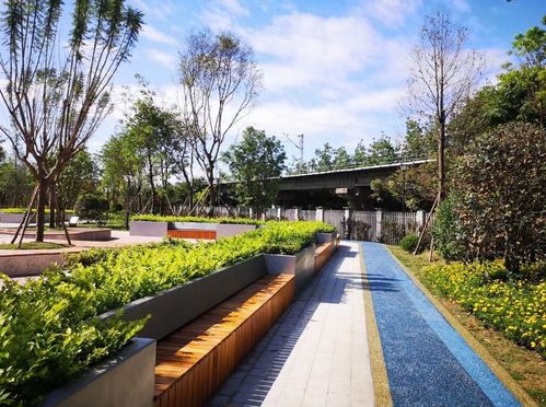糖果色小屋 口袋 公園 來看成都高新街角新貌