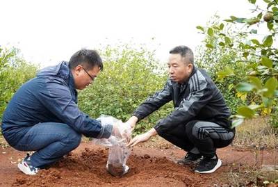 安徽巢湖:嚴把“源頭”關,守護“舌尖上的安全”