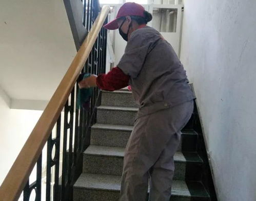 推進美麗庭院建設(shè) 提升居民幸福生活