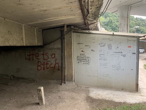 六年二班貴陽板房成“留言墻” 初戀記憶與辣眼睛內容的碰撞