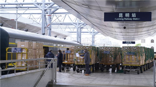 滇黔攜手共援上海，防疫物資千里馳援